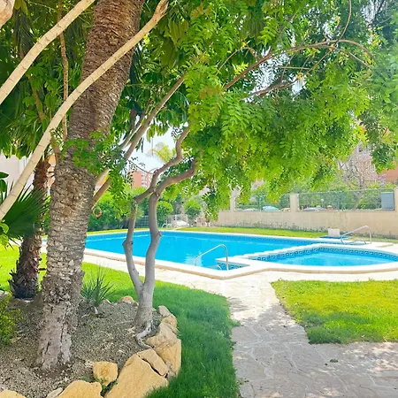Estudio Con Piscina Alicante