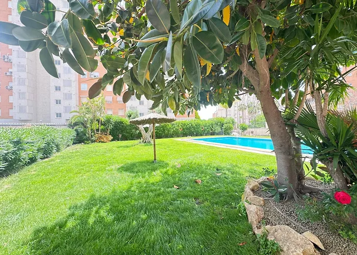 Estudio Con Piscina * 阿利坎特